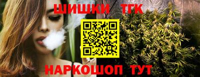 гидропоника Можга