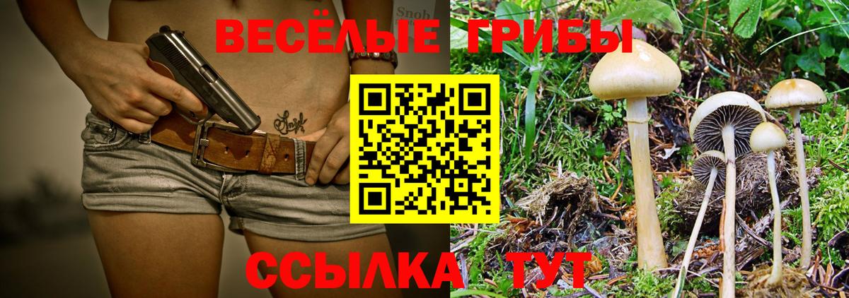 Псилоцибиновые грибы GOLDEN TEACHER Волгоград