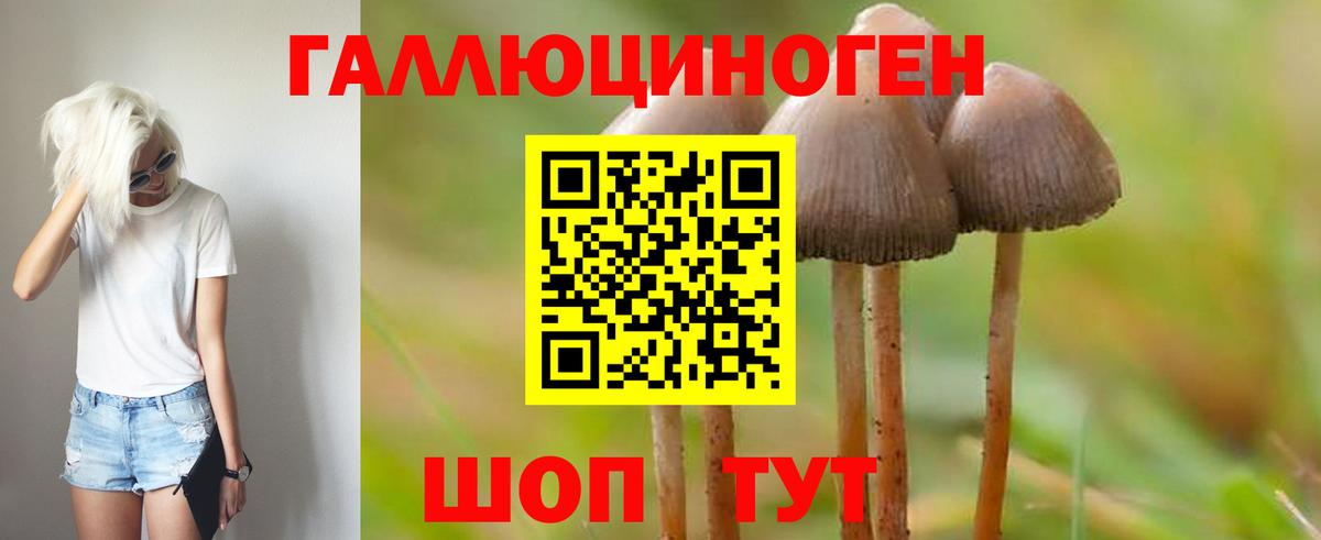 Галлюциногенные грибы ЛСД  Галлюциногенные грибы мухоморы  Вход с VPN  Волгоград 