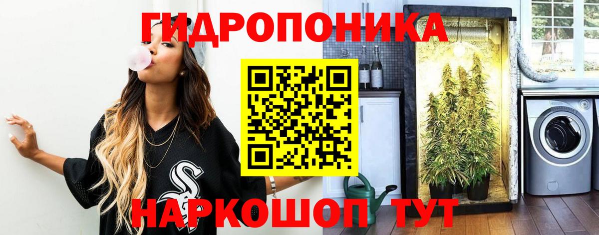 Волгоград  Бошки марихуана SATIVA & INDICA  Конопля конопля  Вход с VPN 
